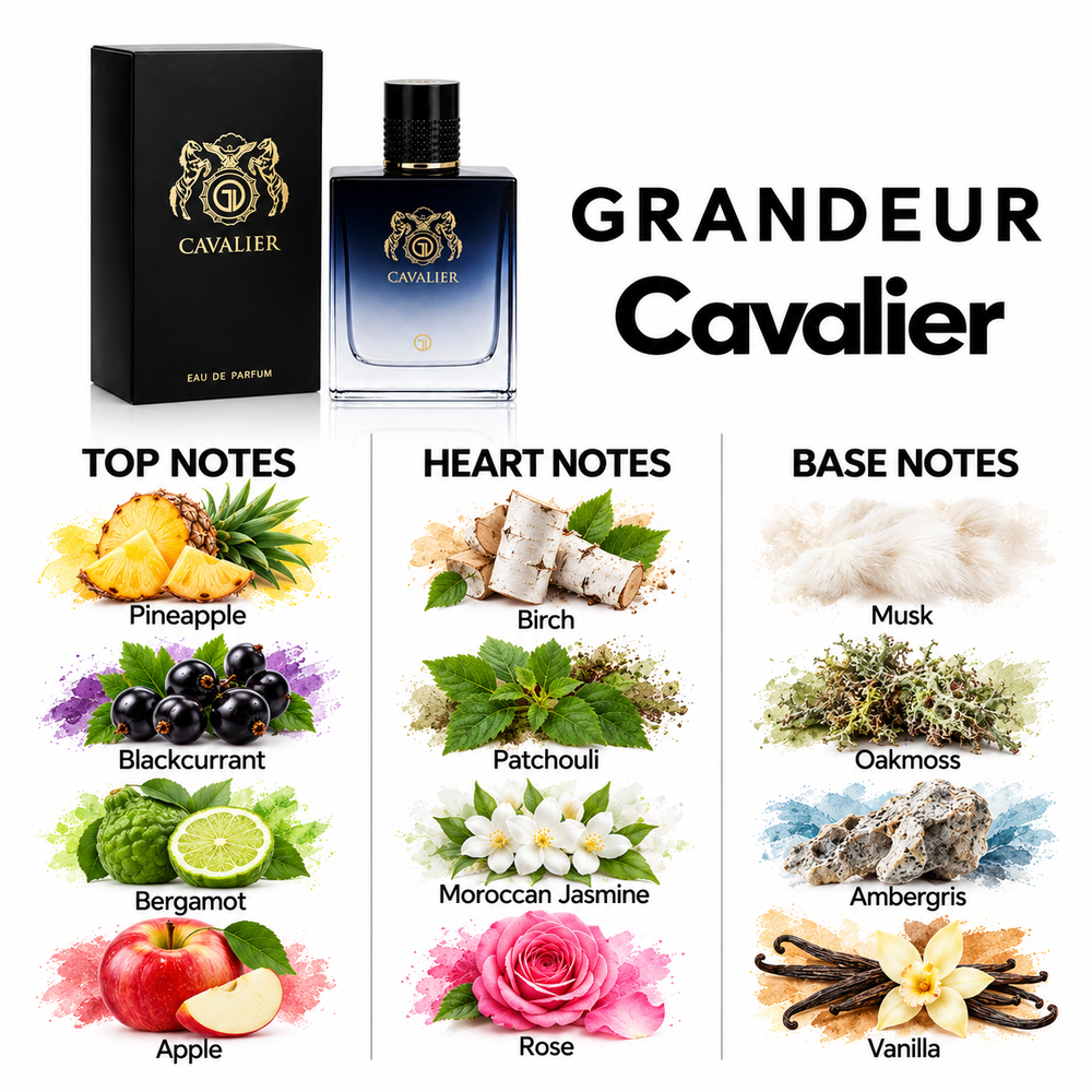 Grandeur Cavalier fragrance notes. Top: Pineapple, Blackcurrant, Bergamot, Apple. Heart: Birch, Patchouli, Moroccan Jasmine, Rose. Base: Musk, Oakmoss, Ambergris, Vanilla.