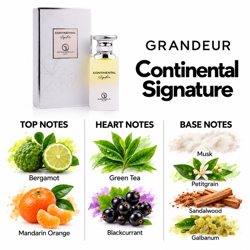 Grandeur Continental Signature fragrance notes. Top: Bergamot, Mandarin Orange. Heart: Green Tea, Blackcurrant. Base: Musk, Petitgrain, Sandalwood, Galbanum.