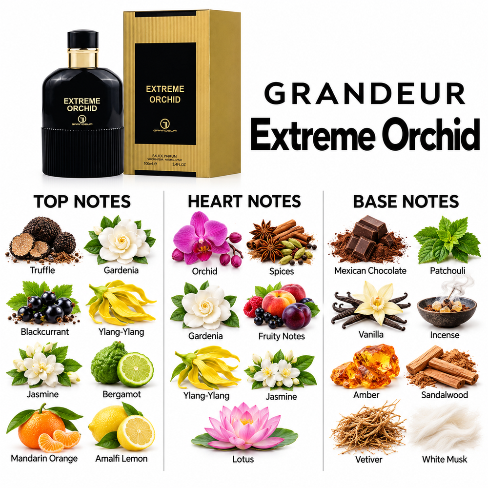 Grandeur Extreme Orchid fragrance notes. Top: Truffle, Gardenia, Blackcurrant, Ylang-Ylang, Jasmine, Bergamot, Mandarin Orange, Amalfi Lemon. Heart: Orchid, Spices, Gardenia, Fruity Notes, Ylang-Ylang, Jasmine, Lotus. Base: Mexican Chocolate, Patchouli, Vanilla, Incense, Amber, Sandalwood, Vetiver, White Musk.
