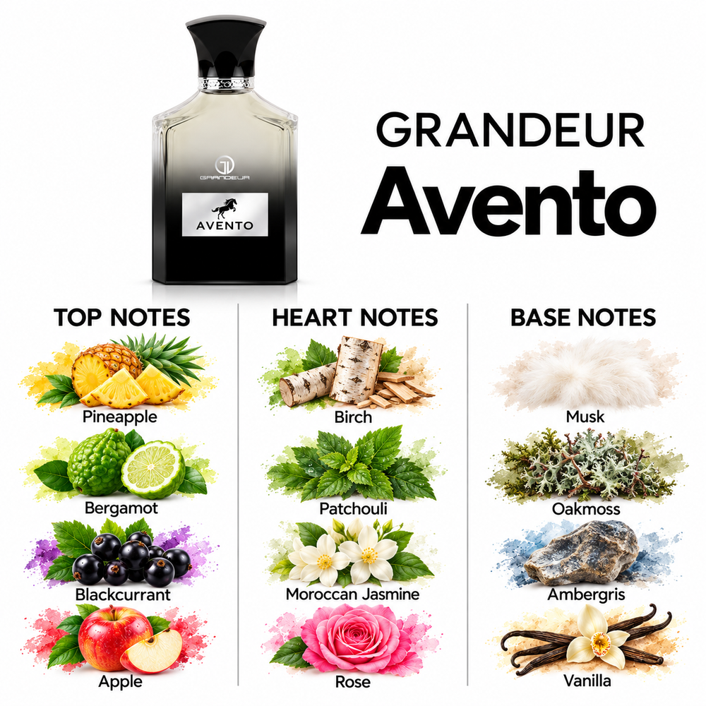 Grandeur Avento fragrance notes. Top: Pineapple, Bergamot, Blackcurrant, Apple. Heart: Birch, Patchouli, Moroccan Jasmine, Rose. Base: Musk, Oakmoss, Ambergris, Vanilla.