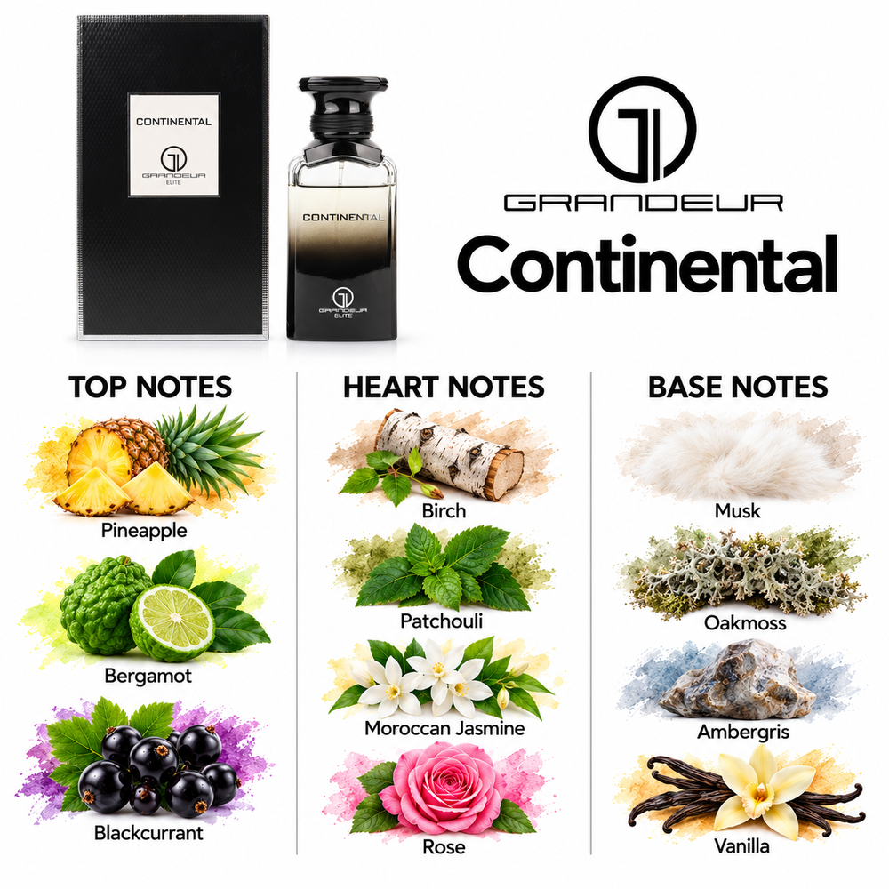 Grandeur Continental fragrance notes. Top: Pineapple, Bergamot, Blackcurrant. Heart: Birch, Patchouli, Moroccan Jasmine, Rose. Base: Musk, Oakmoss, Ambergris, Vanilla.