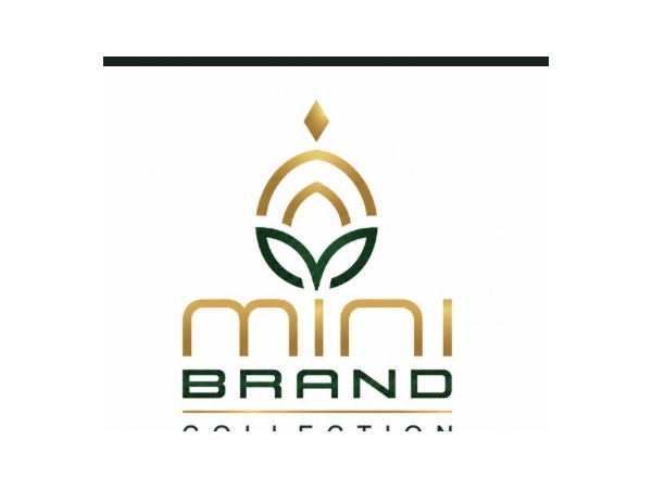 Mini Brand Collection logo from supplied reference
